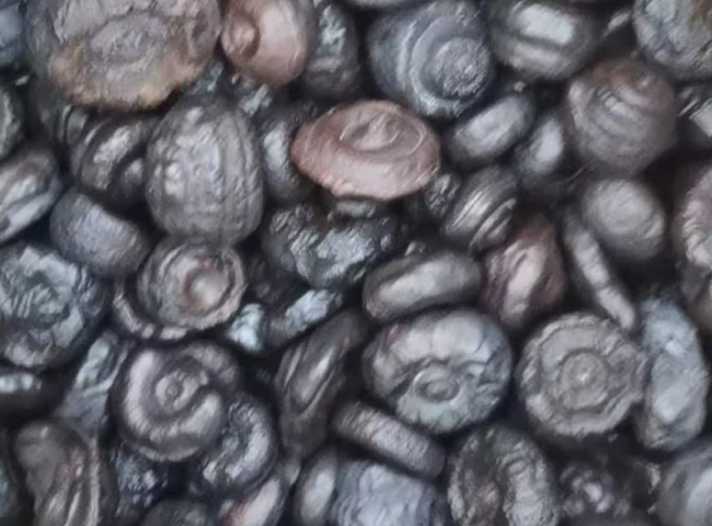 黑金刚石